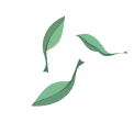 Daun