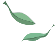 Daun Hijau 1