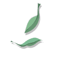 Daun Hijau 2