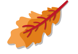 leaf orange